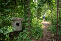 Visitante curioso en Daniel A Jardín de Seguin, Quebec fotografía de archivo libre de regalías Visitante curioso en Daniel A Jardín de Seguin, Quebec fotografía de archivo libre de regalías