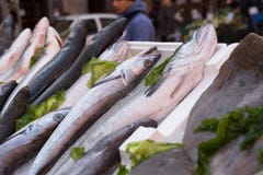 Vissen in markt worden blootgesteld die royalty-vrije stock afbeelding Vissen in markt worden blootgesteld die royalty-vrije stock afbeelding