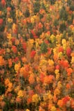 Vista aerea dei colori cambianti di caduta della Nuova Inghilterra fotografia stock libera da diritti Vista aerea dei colori cambianti di caduta della Nuova Inghilterra fotografia stock libera da diritti