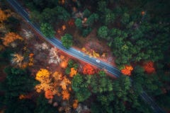 Vista aerea della strada nella bella foresta di autunno fotografia stock libera da diritti Vista aerea della strada nella bella foresta di autunno fotografia stock libera da diritti