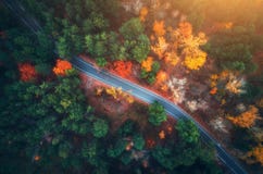 Vista aerea della strada nella bella foresta di autunno al tramonto fotografia stock Vista aerea della strada nella bella foresta di autunno al tramonto fotografia stock