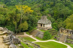 Vista aerea delle rovine maya di Palenque, Messico immagini stock libere da diritti Vista aerea delle rovine maya di Palenque, Messico immagini stock libere da diritti