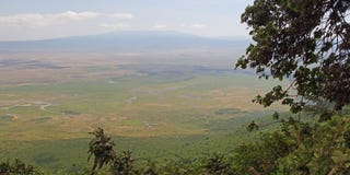 Vista cênico na área da conservação de Ngorongoro imagem de stock royalty free Vista cênico na área da conservação de Ngorongoro imagem de stock royalty free