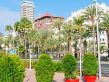 Vista de la ciudad y de las palmeras en Alicante españa imagenes de archivo Vista de la ciudad y de las palmeras en Alicante españa imagenes de archivo