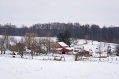 Vista de una granja nevada cerca de la nueva libertad, Pennsylvania Fotos de archivo libres de regalías Vista de una granja nevada cerca de la nueva libertad, Pennsylvania Fotos de archivo libres de regalías