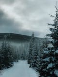 Vista del paesaggio delle specie innevate in Karpacz durante una bufera di neve e la bufera di neve Vista della foresta della nev fotografie stock Vista del paesaggio delle specie innevate in Karpacz durante una bufera di neve e la bufera di neve Vista della foresta della nev fotografie stock
