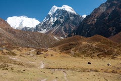 Vista della valle di Langtang, parco nazionale di Langtang, Rasuwa Dsitrict, Nepal immagini stock Vista della valle di Langtang, parco nazionale di Langtang, Rasuwa Dsitrict, Nepal immagini stock
