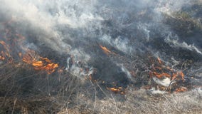 Vista di fuoco selvaggio pericoloso terribile di giorno nel campo Erba asciutta bruciante della paglia Un'ampia area della natura archivi video Vista di fuoco selvaggio pericoloso terribile di giorno nel campo Erba asciutta bruciante della paglia Un'ampia area della natura archivi video