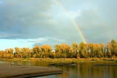 Vista di riflessione dell'acqua della foresta di autunno nell'acqua del fiume Volga Paesaggio della natura di autunno Bello doppi fotografia stock libera da diritti Vista di riflessione dell'acqua della foresta di autunno nell'acqua del fiume Volga Paesaggio della natura di autunno Bello doppi fotografia stock libera da diritti