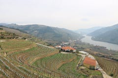 Vista dos vinhedos que negligenciam o rio de Douro - Portugal foto de stock royalty free Vista dos vinhedos que negligenciam o rio de Douro - Portugal foto de stock royalty free