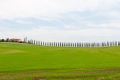 Vista escénica del paisaje de Toscana con las colinas verdes y los árboles de ciprés, Italia imagen de archivo Vista escénica del paisaje de Toscana con las colinas verdes y los árboles de ciprés, Italia imagen de archivo