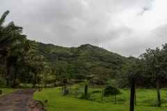 Vista interior de Kauai no inverno, Havaí foto de stock Vista interior de Kauai no inverno, Havaí foto de stock