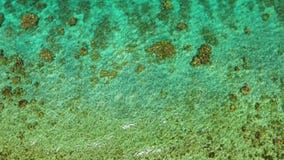 Vista a?rea de la agua de mar tranquilo Vista superior de un agua limpia del oc?ano cerca de una costa almacen de video Vista a?rea de la agua de mar tranquilo Vista superior de un agua limpia del oc?ano cerca de una costa almacen de video