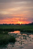 Vista scenica del paesaggio olandese del ploder al tramonto, vicino a gouda, i Paesi Bassi fotografia stock Vista scenica del paesaggio olandese del ploder al tramonto, vicino a gouda, i Paesi Bassi fotografia stock