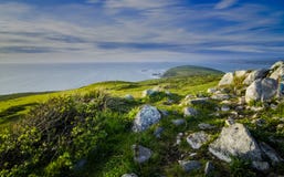 Vista sul mare alla pinta Reyes National Seashore, California immagine stock libera da diritti Vista sul mare alla pinta Reyes National Seashore, California immagine stock libera da diritti