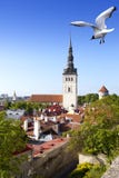 Vista sulla chiesa di San Nicola (Niguliste) Vecchia città, Tallinn, Estonia immagine stock Vista sulla chiesa di San Nicola (Niguliste) Vecchia città, Tallinn, Estonia immagine stock