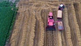 Vista superiore della mietitrebbiatrice e del trattore nel campo Immagini Stock Libere da Diritti Vista superiore della mietitrebbiatrice e del trattore nel campo Immagini Stock Libere da Diritti