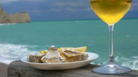 Vistas al océano con ostras frescas y vino blanco almacen de metraje de vídeo Vistas al océano con ostras frescas y vino blanco almacen de metraje de vídeo