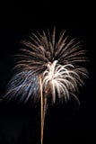 Visualizzazione dei fuochi d'artificio fotografia stock libera da diritti Visualizzazione dei fuochi d'artificio fotografia stock libera da diritti