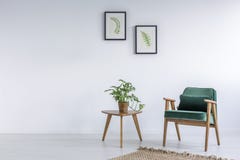 Vit inre med grönkålgräsplanstol arkivbild Vit inre med grönkålgräsplanstol arkivbild