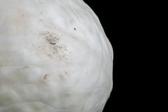 Vit kål används för att laga mat en variation av disk royaltyfria foton Vit kål används för att laga mat en variation av disk royaltyfria foton