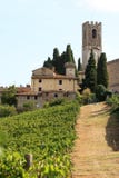 Viticulture en Badia di Passignano, Toscane, Italie images libres de droits Viticulture en Badia di Passignano, Toscane, Italie images libres de droits