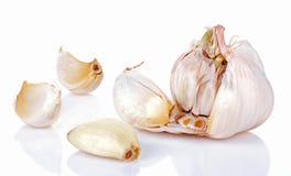 vitlök vitlök