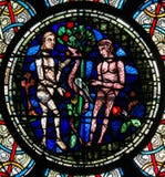 Vitral - Adam e véspera imagem de stock Vitral - Adam e véspera imagem de stock