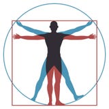 Vitruvian man. Leonardo da vinci human body perfect anatomy proportions in circle and square. Vector silhouette