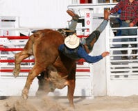 Vitórias de Bull Vitórias de Bull