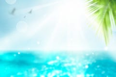 Vivid Summer background. Blurred Palm and tropical beach bokeh background. Vacation time.