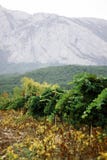 Viñedos de Franschhoek y montañas de Crimea imágenes de archivo libres de regalías Viñedos de Franschhoek y montañas de Crimea imágenes de archivo libres de regalías