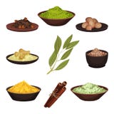 Vlakke vectorreeks diverse natuurlijke kruiden Aromatisch kruiden voor voedsel Kokende ingrediënten Culinair thema royalty-vrije illustratie Vlakke vectorreeks diverse natuurlijke kruiden Aromatisch kruiden voor voedsel Kokende ingrediënten Culinair thema royalty-vrije illustratie