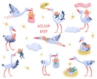 Vlakke vectorreeks witte ooievaars met babys Mooie vogels en pasgeboren jonge geitjes Elementen voor kinderenboek of groetkaart royalty-vrije illustratie Vlakke vectorreeks witte ooievaars met babys Mooie vogels en pasgeboren jonge geitjes Elementen voor kinderenboek of groetkaart royalty-vrije illustratie