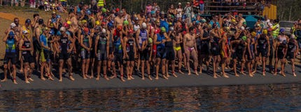 Vlasina Triathlon Jeziorne pływaczki zdjęcia royalty free Vlasina Triathlon Jeziorne pływaczki zdjęcia royalty free