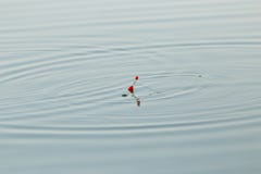 Vlotter voor visserij op het water stock foto Vlotter voor visserij op het water stock foto