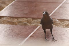 Você tem algo para compartilhar comigo? fotos de stock Você tem algo para compartilhar comigo? fotos de stock