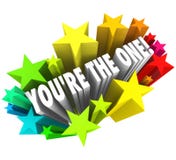 Você é esse exprime a escolha escolhida estrelas da parte superior do candidato ilustração royalty free Você é esse exprime a escolha escolhida estrelas da parte superior do candidato ilustração royalty free