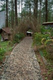 Voetpad op het toeristengebied van Pinus †‹â€ ‹het Bos van Kalilo in Kaligesing Purworejo, Indonesië royalty-vrije stock afbeelding Voetpad op het toeristengebied van Pinus †‹â€ ‹het Bos van Kalilo in Kaligesing Purworejo, Indonesië royalty-vrije stock afbeelding