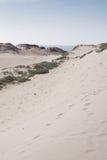 Voetstappen in de zandduinen met blauwe hemel stock foto Voetstappen in de zandduinen met blauwe hemel stock foto