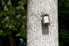 Vogelhaus mit dem Eingangsloch. stockbilder Vogelhaus mit dem Eingangsloch. stockbilder