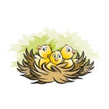 Vogelnest met drie babyvogels stock illustratie Vogelnest met drie babyvogels stock illustratie