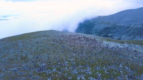 Vogelperspektive auf Bergspitze mit Seehintergrund Erstaunliche Gebirgslandschaft mit Teichen stockbilder Vogelperspektive auf Bergspitze mit Seehintergrund Erstaunliche Gebirgslandschaft mit Teichen stockbilder