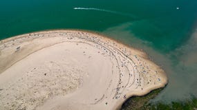 Vogelperspektive des ` Galon d oder des Strandes, La Tremblade, Charente Mari lizenzfreie stockbilder Vogelperspektive des ` Galon d oder des Strandes, La Tremblade, Charente Mari lizenzfreie stockbilder