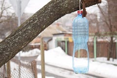 Vogelvoeder van een plastic fles op een boom in de winter royalty-vrije stock foto Vogelvoeder van een plastic fles op een boom in de winter royalty-vrije stock foto