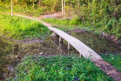 Voie de ciment sur la forêt photo stock Voie de ciment sur la forêt photo stock