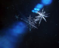 Vol de famille de flocons de neige par l'univers photographie stock Vol de famille de flocons de neige par l'univers photographie stock