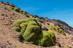 Volcano slopes in Peru desert high mountains of Altiplano