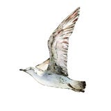 Volo del gabbiano Elemento dipinto a mano dell'acquerello isolato su bianco illustrazione di stock Volo del gabbiano Elemento dipinto a mano dell'acquerello isolato su bianco illustrazione di stock