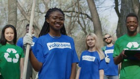 Voluntários multi-étnicos alegres na floresta video estoque Voluntários multi-étnicos alegres na floresta video estoque